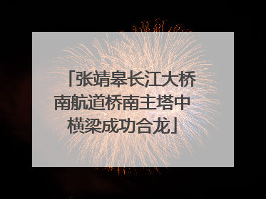 张靖皋长江大桥南航道桥南主塔中横梁成功合龙