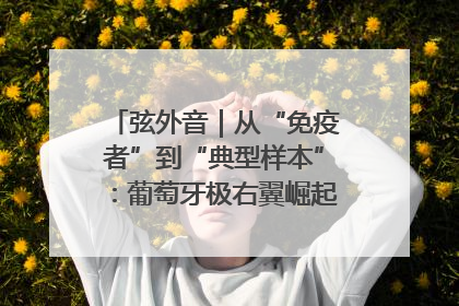 弦外音｜从“免疫者”到“典型样本”：葡萄牙极右翼崛起背后的欧洲困局