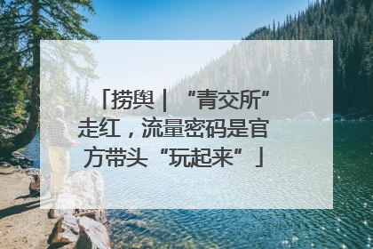 捞舆｜“青交所”走红，流量密码是官方带头“玩起来”