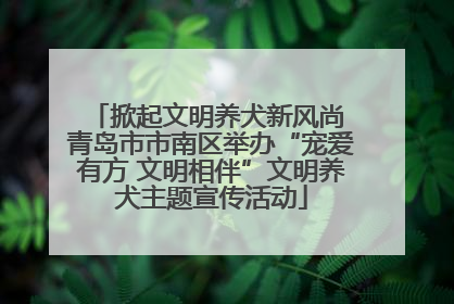 掀起文明养犬新风尚 青岛市市南区举办“宠爱有方 文明相伴”文明养犬主题宣传活动