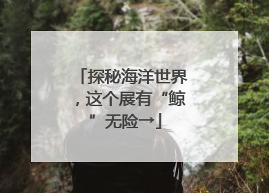 探秘海洋世界，这个展有“鲸”无险→