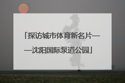 探访城市体育新名片——沈阳国际泵道公园