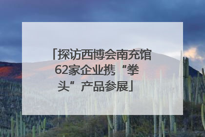 探访西博会南充馆 62家企业携“拳头”产品参展