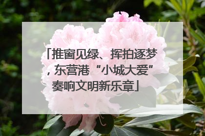 推窗见绿、挥拍逐梦，东营港“小城大爱”奏响文明新乐章