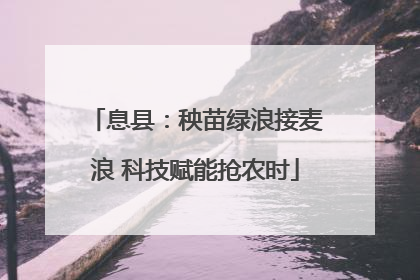 息县：秧苗绿浪接麦浪 科技赋能抢农时