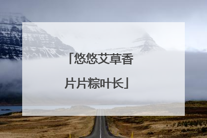 悠悠艾草香 片片粽叶长