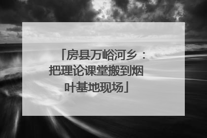 房县万峪河乡：把理论课堂搬到烟叶基地现场
