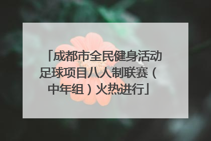 成都市全民健身活动足球项目八人制联赛（中年组）火热进行