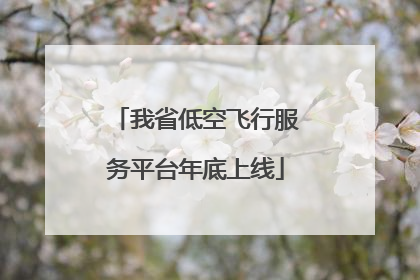 我省低空飞行服务平台年底上线