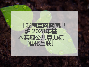 我国算网蓝图出炉 2028年基本实现公共算力标准化互联