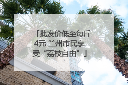 批发价低至每斤4元 兰州市民享受“荔枝自由”
