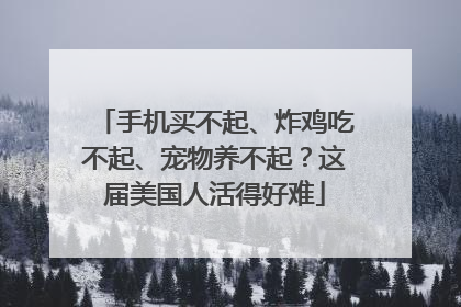 手机买不起、炸鸡吃不起、宠物养不起？这届美国人活得好难