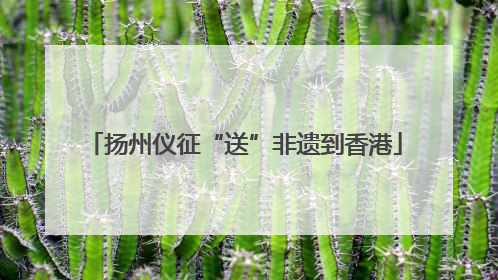 扬州仪征“送”非遗到香港