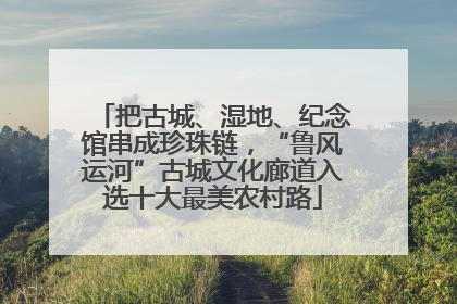 把古城、湿地、纪念馆串成珍珠链，“鲁风运河”古城文化廊道入选十大最美农村路