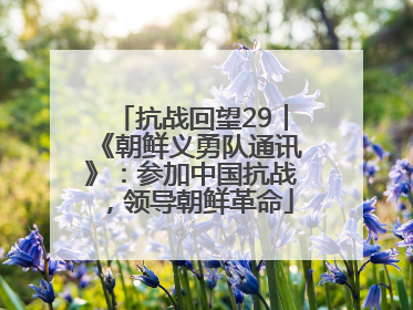 抗战回望29︱《朝鲜义勇队通讯》：参加中国抗战，领导朝鲜革命