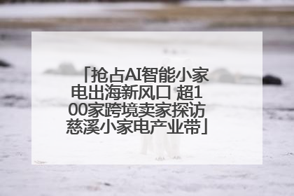 抢占AI智能小家电出海新风口 超100家跨境卖家探访慈溪小家电产业带