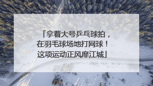 拿着大号乒乓球拍，在羽毛球场地打网球！这项运动正风靡江城