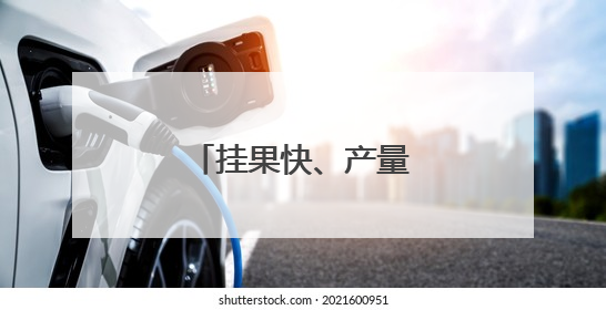 挂果快、产量高，陕西苹果在中亚茁壮成长
