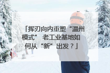挥刃向内重塑“温州模式” 老工业基地如何从“新”出发？