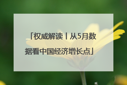 权威解读丨从5月数据看中国经济增长点