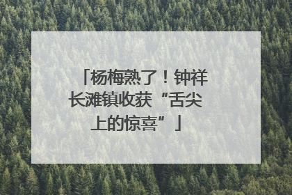 杨梅熟了！钟祥长滩镇收获“舌尖上的惊喜”