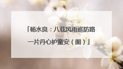 杨水良：八载风雨巡防路 一片丹心护童安（图）