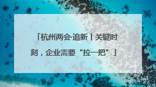 杭州两会·追新丨关键时刻，企业需要“拉一把”