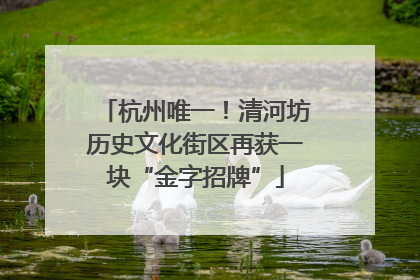 杭州唯一！清河坊历史文化街区再获一块“金字招牌”