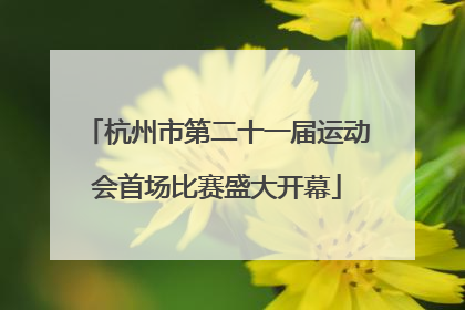 杭州市第二十一届运动会首场比赛盛大开幕