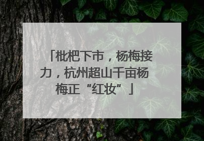 枇杷下市，杨梅接力，杭州超山千亩杨梅正“红妆”