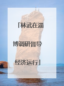 林武在淄博调研督导经济运行
