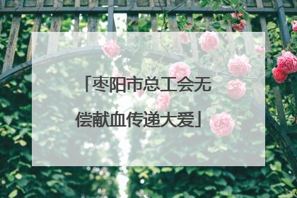 枣阳市总工会无偿献血传递大爱