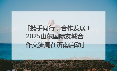 携手同行，合作发展！2025山东国际友城合作交流周在济南启动