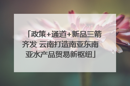 政策+通道+新品三箭齐发 云南打造南亚东南亚水产品贸易新枢纽