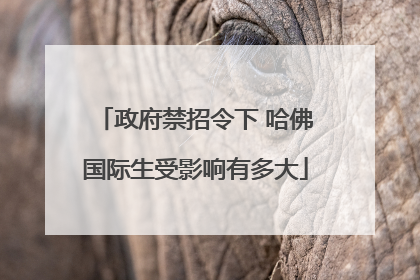 政府禁招令下 哈佛国际生受影响有多大