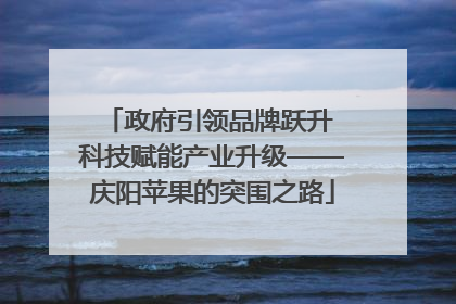 政府引领品牌跃升 科技赋能产业升级——庆阳苹果的突围之路