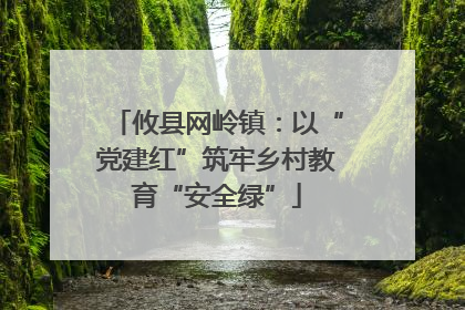 攸县网岭镇：以“党建红”筑牢乡村教育“安全绿”