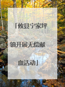 攸县宁家坪镇开展无偿献血活动