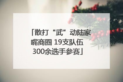 散打“武”动陆家嘴商圈 19支队伍300余选手参赛