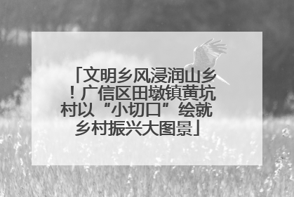 文明乡风浸润山乡！广信区田墩镇黄坑村以“小切口”绘就乡村振兴大图景