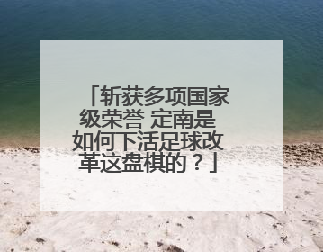 斩获多项国家级荣誉 定南是如何下活足球改革这盘棋的？