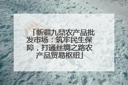 新疆九鼎农产品批发市场：筑牢民生保障，打通丝绸之路农产品贸易枢纽