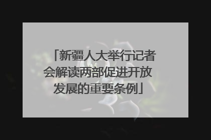 新疆人大举行记者会解读两部促进开放发展的重要条例