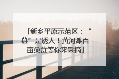 新乡平原示范区：“葚”是诱人！黄河滩百亩桑葚等你来采摘