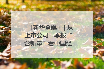 新华全媒+｜从上市公司一季报“含新量”看中国经济发展向“新”