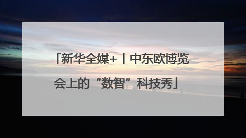 新华全媒+丨中东欧博览会上的“数智”科技秀