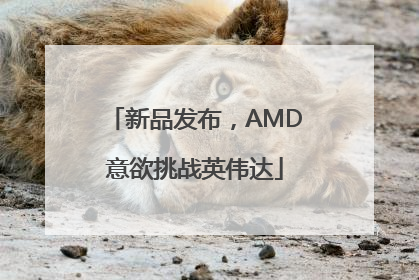 新品发布，AMD意欲挑战英伟达
