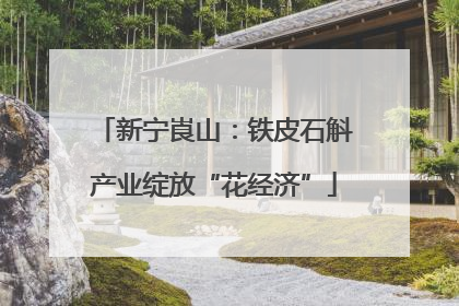新宁崀山：铁皮石斛产业绽放“花经济”