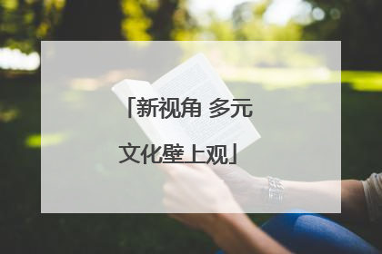新视角 多元文化壁上观
