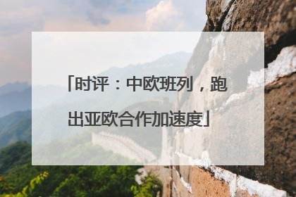 时评：中欧班列，跑出亚欧合作加速度